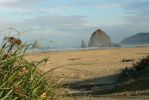 PICTURES/Oregon Coast Road - Cannon Beach/t_P1210883.JPG